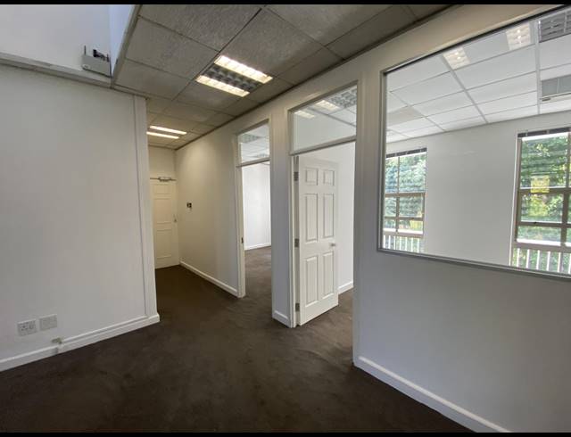 251M² OFFICE TO LET IN RONDEBOSCH